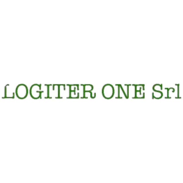 LOGITER ONE SRL logo